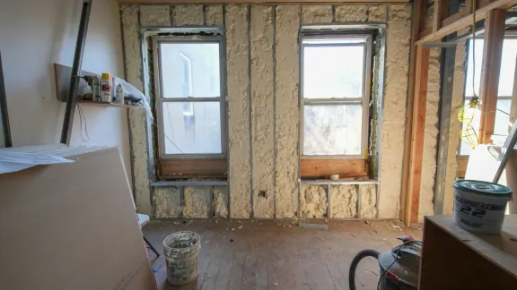 mold removal